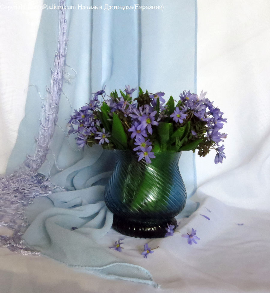 Plant, Potted Plant, Flower, Flower Arrangement, Flower Bouquet, Ikebana, Vase