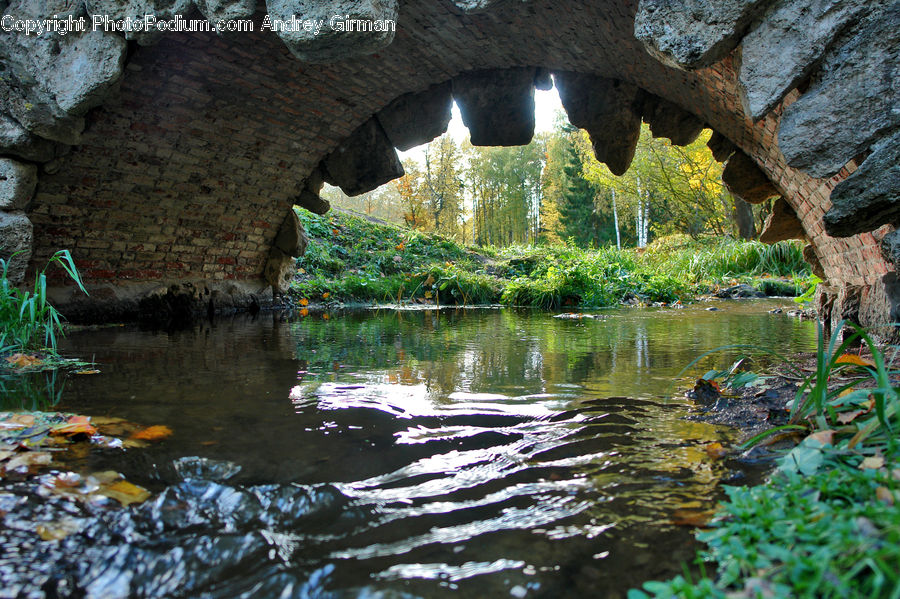 Cave, Outdoors, River, Water, Blossom, Flora, Flower