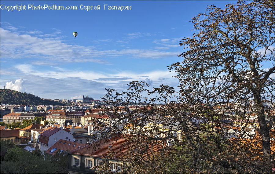 Building, Downtown, Town, Neighborhood, Landscape, Nature, Scenery