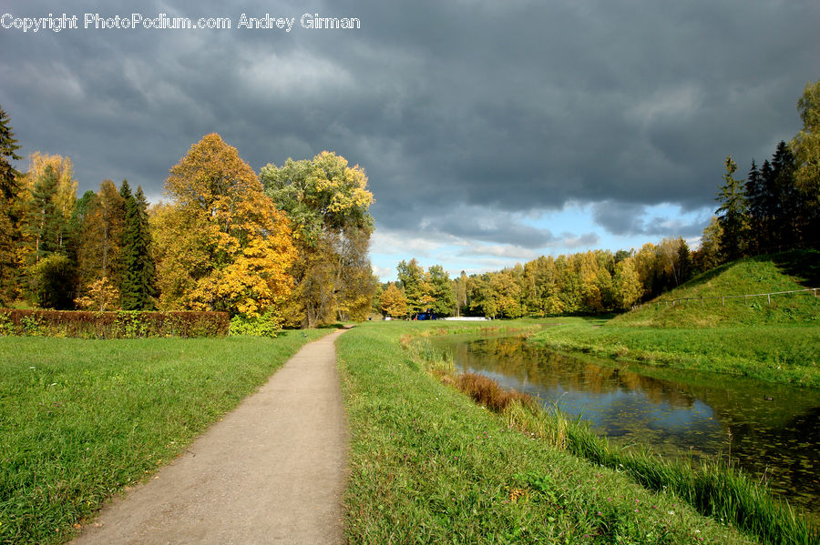 Dirt Road, Gravel, Road, Path, Walkway, Field, Grass