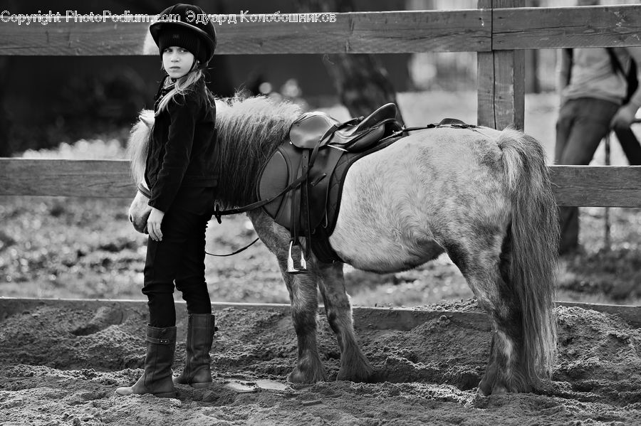 Human, People, Person, Animal, Horse, Mammal, Coat