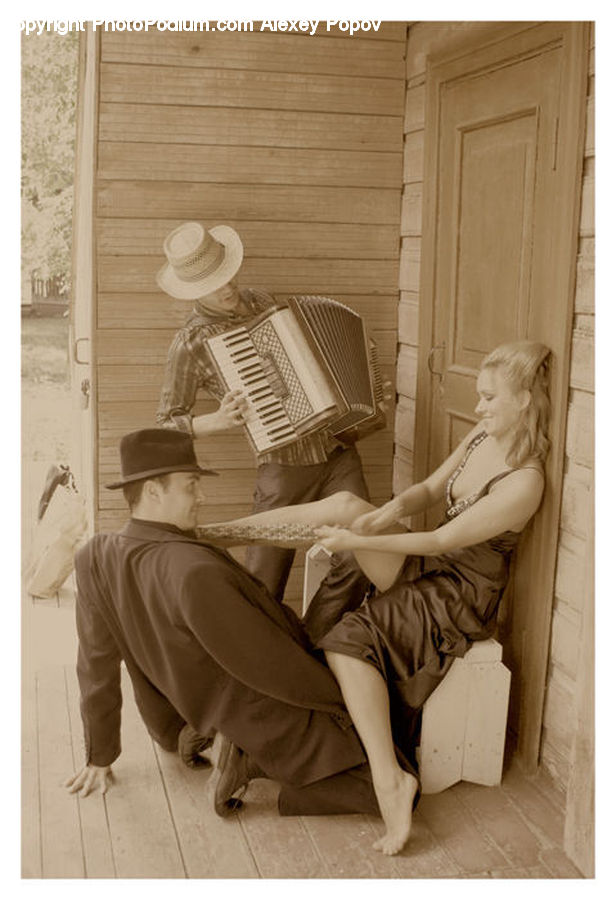 Accordion, Musical Instrument, Cup, Reading, Bowl, Furniture