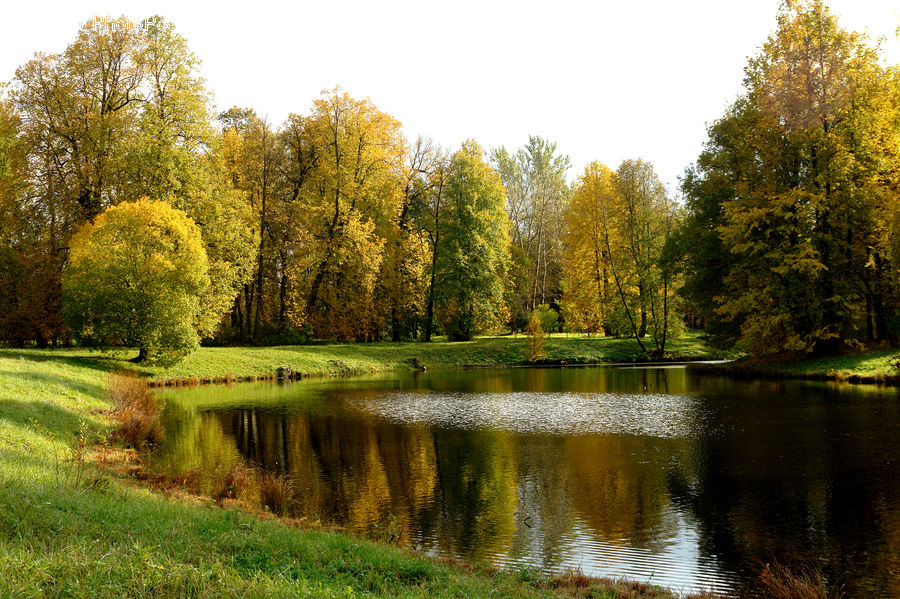 Outdoors, Pond, Water, Field, Grass, Grassland, Plant