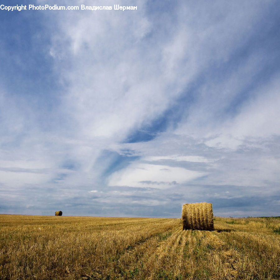 Field, Grass, Grassland, Land, Outdoors, Plant, Landscape