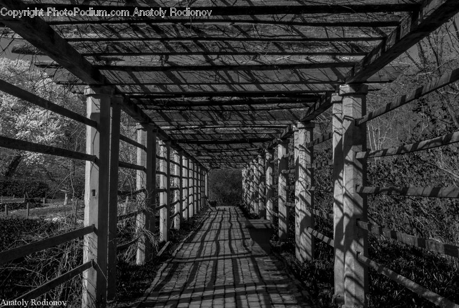 Brick, Path, Road, Walkway, Alley, Alleyway, Street
