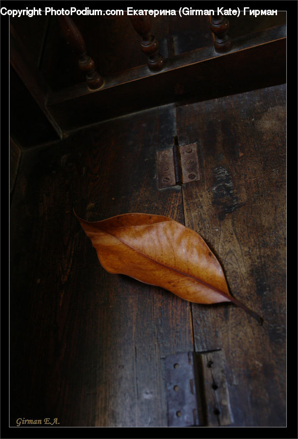 Chest, Drawer, Furniture