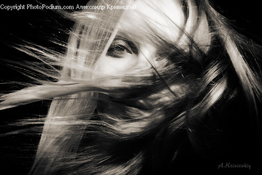 Blonde, Female, Person, Woman, Light, Portrait