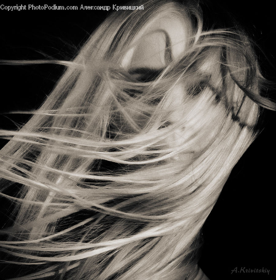 Light, Person, Portrait, Female, Face