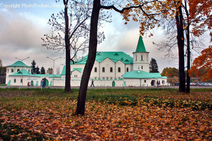 Architecture, Dome, Mosque, Worship, Campus, Mansion, Downtown