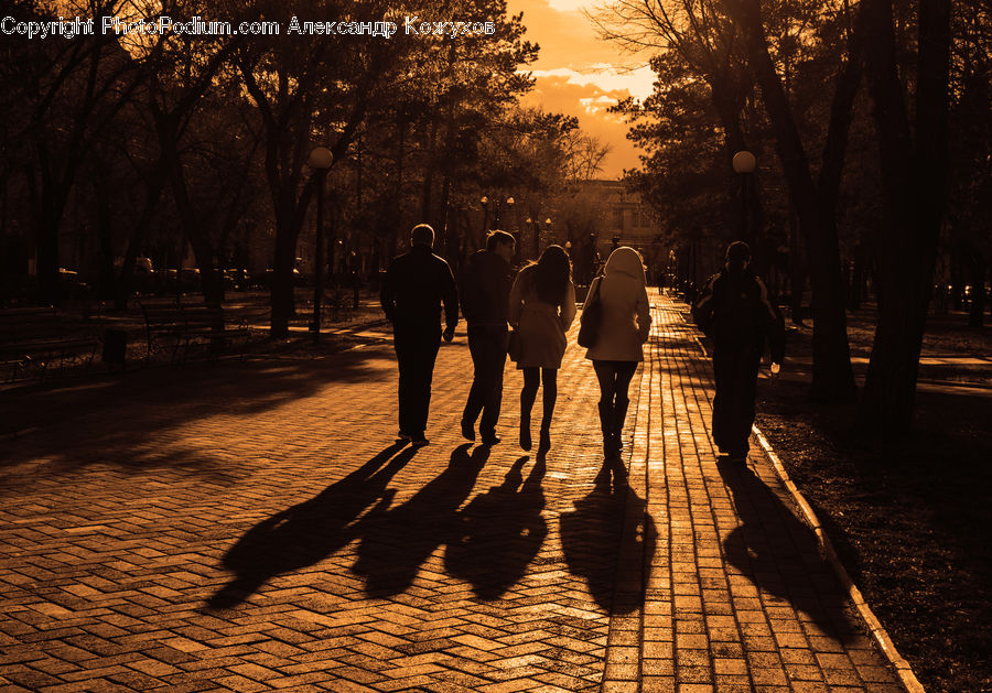 People, Person, Human, Boardwalk, Path, Pavement, Sidewalk
