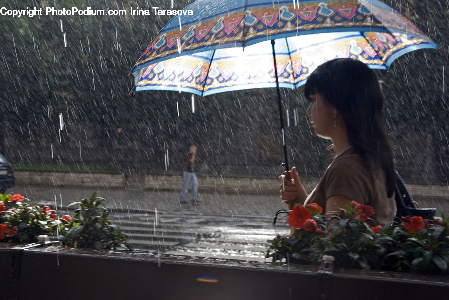 Plant, Potted Plant, People, Person, Human, Umbrella, Herbal