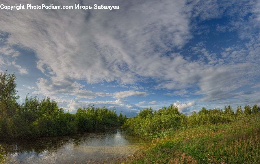 Outdoors, River, Water, Field, Grass, Grassland, Plant