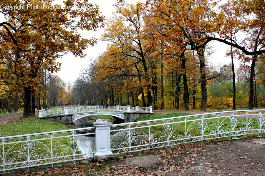 Park Bench, Banister, Handrail, Railing, Park, Balcony, Fence