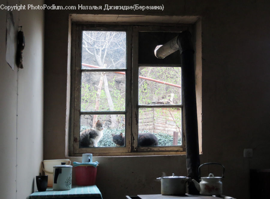 Window, Dining Room, Indoors, Room, Cafe, Cafeteria, Food Court