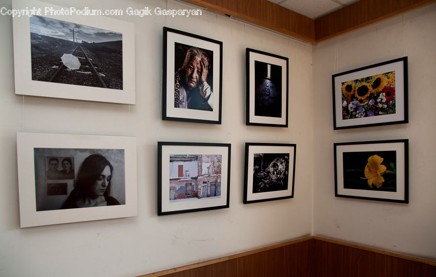 Afro Hairstyle, Hair, Art, Art Gallery, Alps, Crest, Mountain
