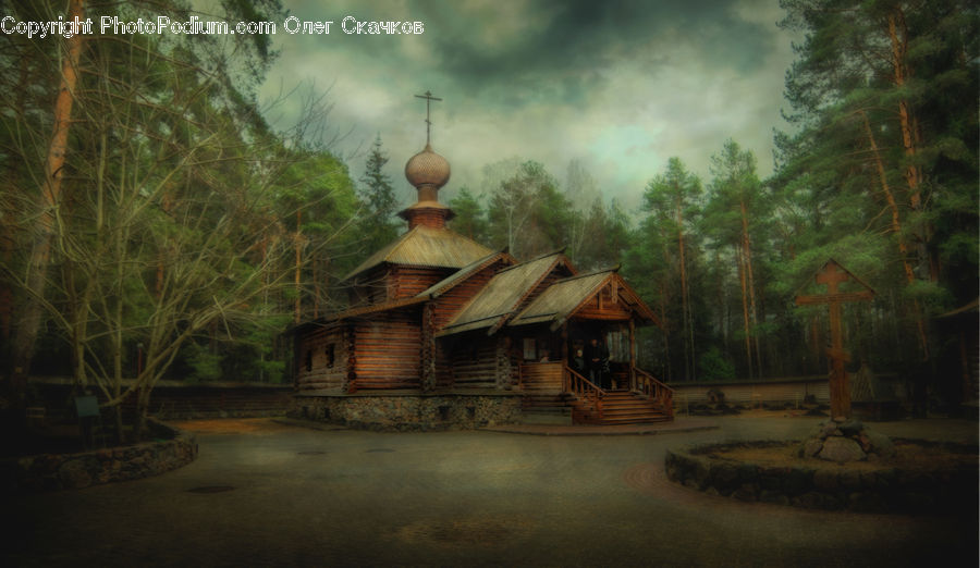 Cabin, Hut, Rural, Shack, Shelter, Building, Conifer