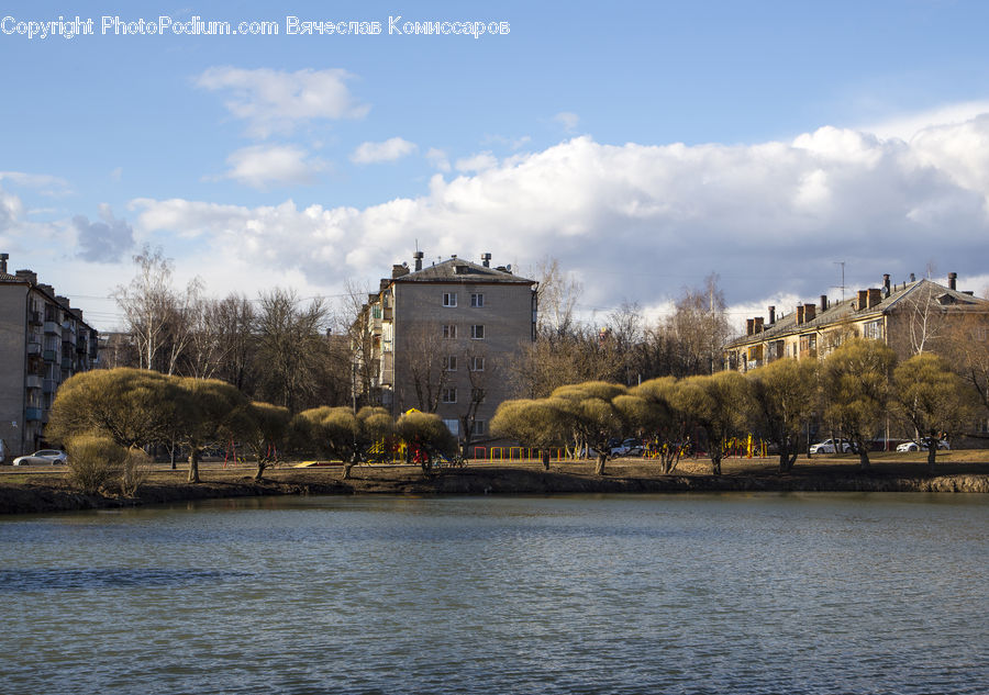 Plant, Tree, Willow, Architecture, Castle, Fort, Ditch