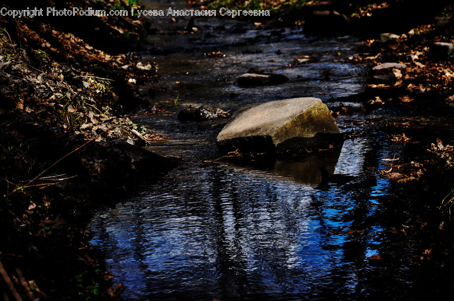 Night, Outdoors, River, Water, Coast, Sea, Creek