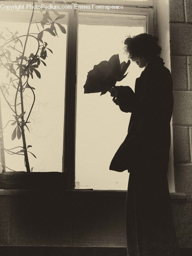 People, Person, Human, Plant, Potted Plant, Flower Arrangement, Ikebana