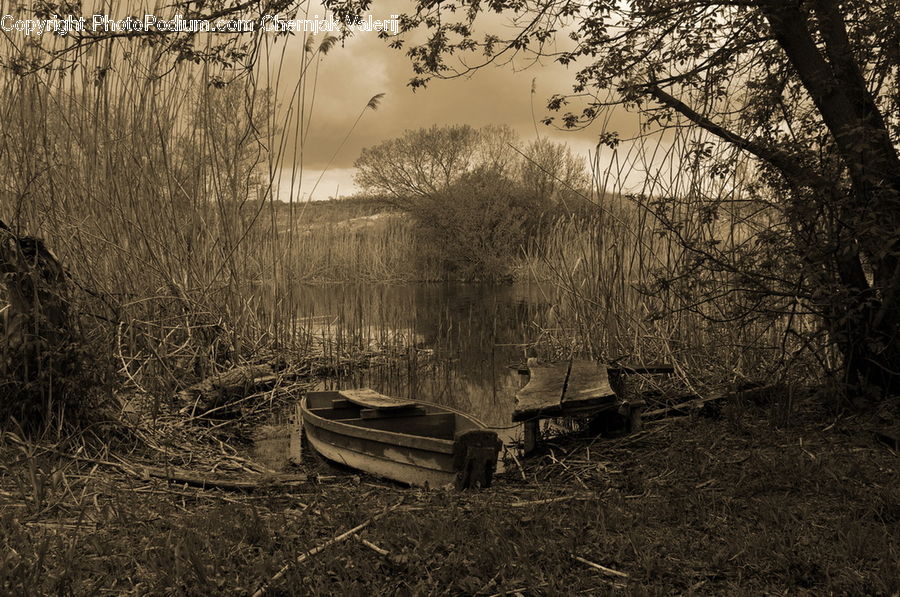 Boat, Watercraft, Rowboat, Vessel, Dinghy, Cabin, Hut