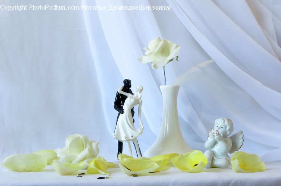 People, Person, Human, Blossom, Flower, Plant, Rose