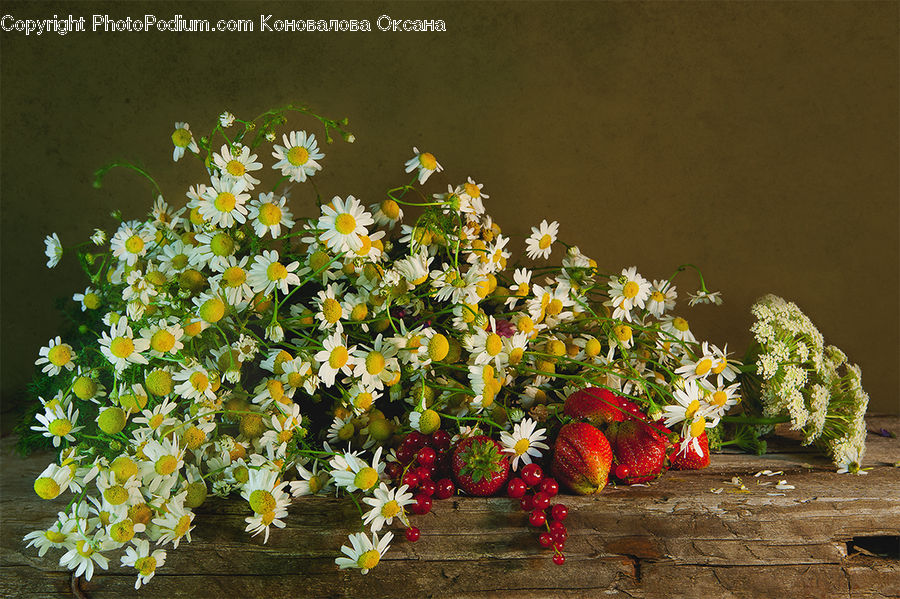 Floral Design, Flower, Flower Arrangement, Flower Bouquet, Ikebana, Plant, Potted Plant
