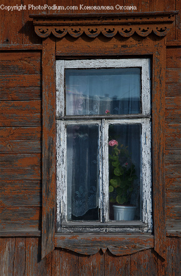 Plant, Potted Plant, Window, Wood, Brick, Herbal, Herbs