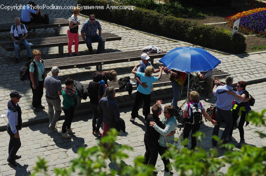 Human, People, Person, Bench, Dance, Dance Pose, Tango