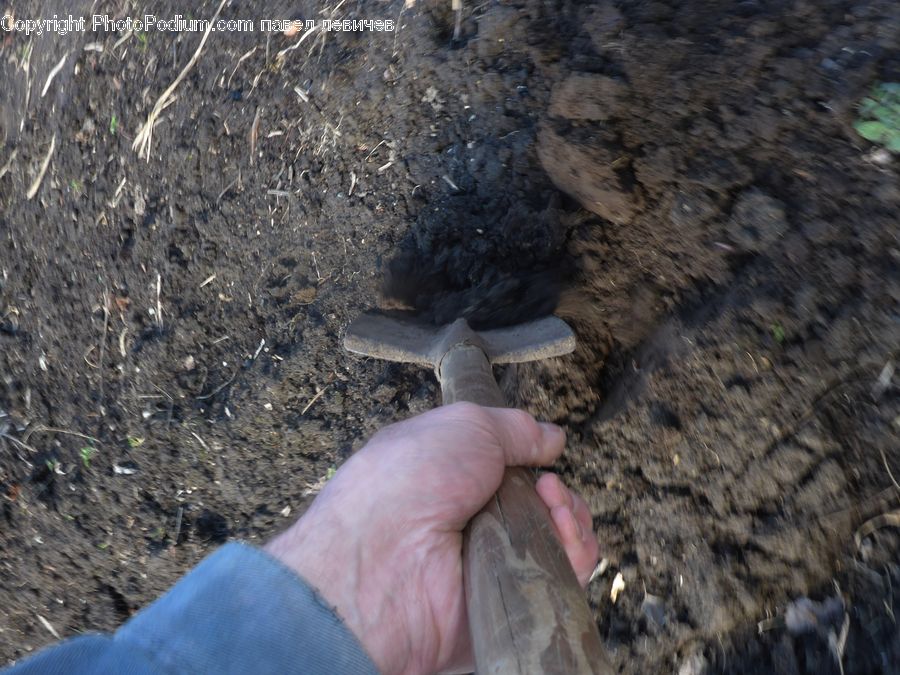 Soil, Trowel, Ground, Bird, Booby