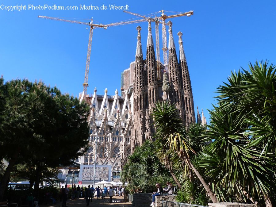 Architecture, Cathedral, Church, Worship, Pedestrian, Person, Agavaceae