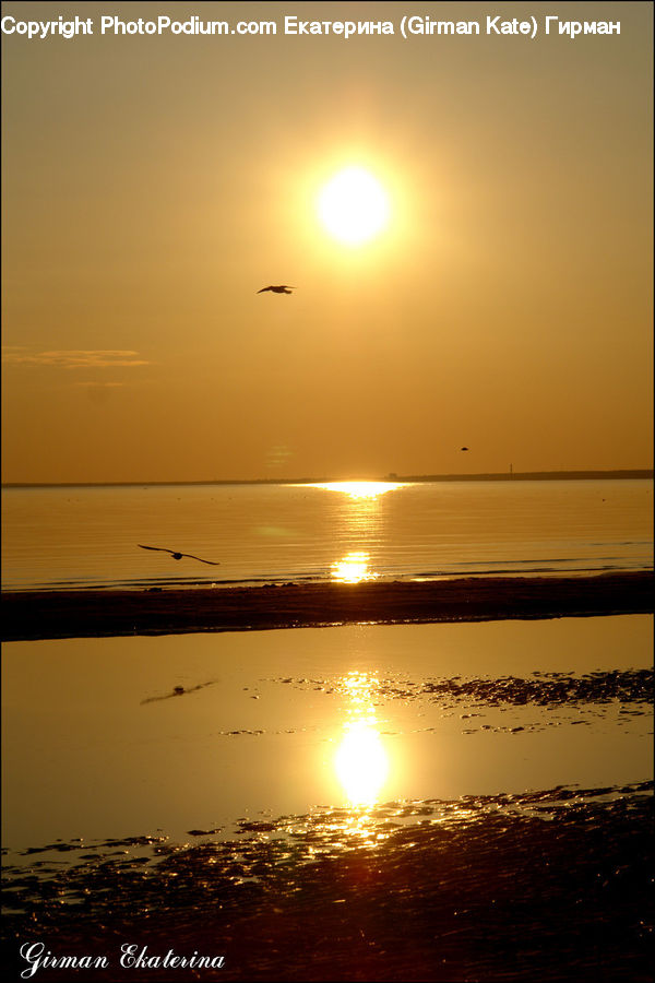 Flare, Light
