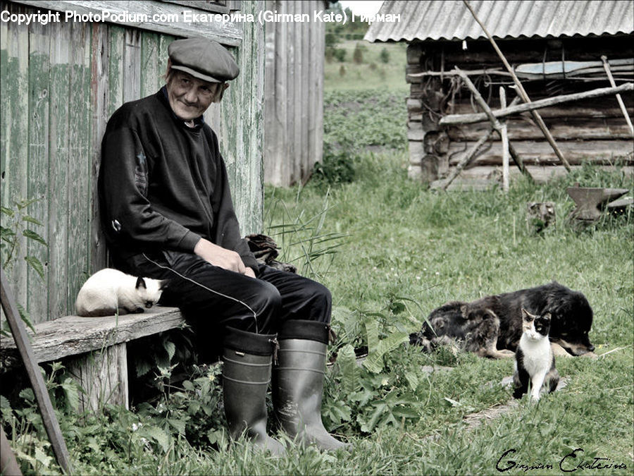 People, Person, Human, Building, Shack, Shelter, Animal