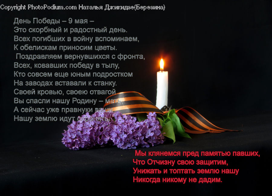 Birthday Cake, Cake, Dessert, Food, Candle, Brochure, Flyer