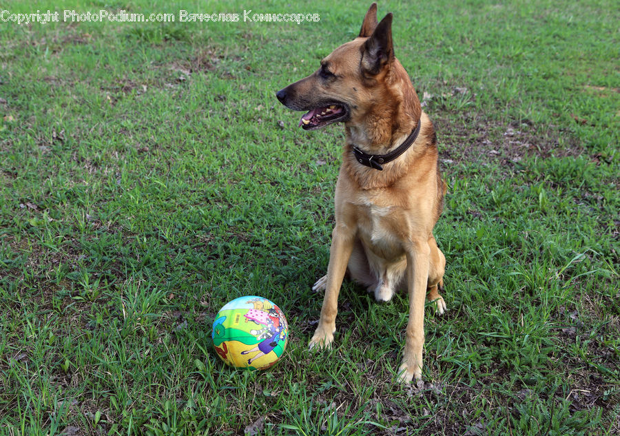 Easter Egg, Egg, Ball, Sphere