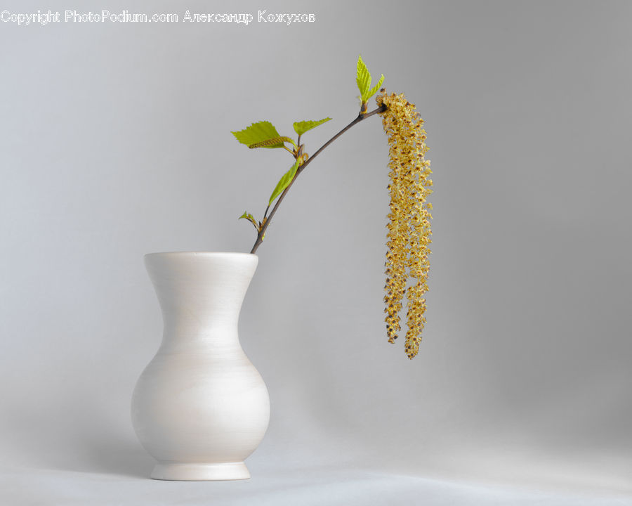 Jar, Porcelain, Vase, Flower Arrangement, Ikebana, Plant, Potted Plant