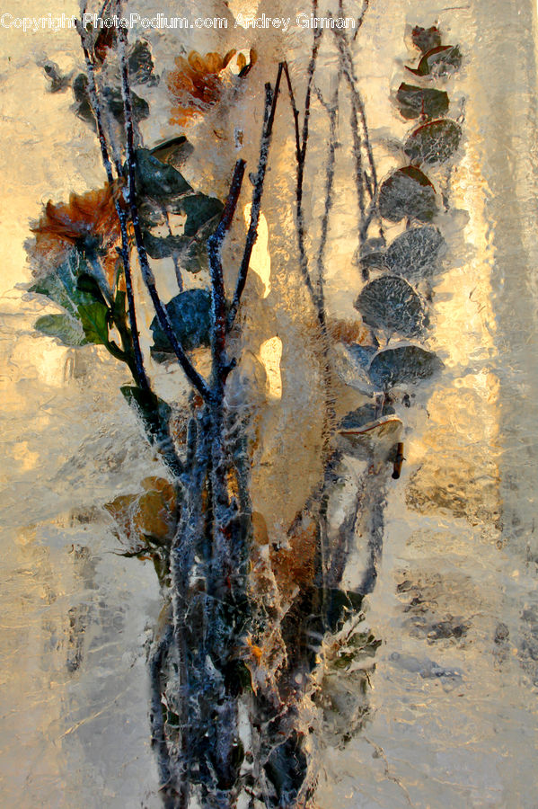 Arachnid, Garden Spider, Insect, Invertebrate, Spider, Art, Modern Art