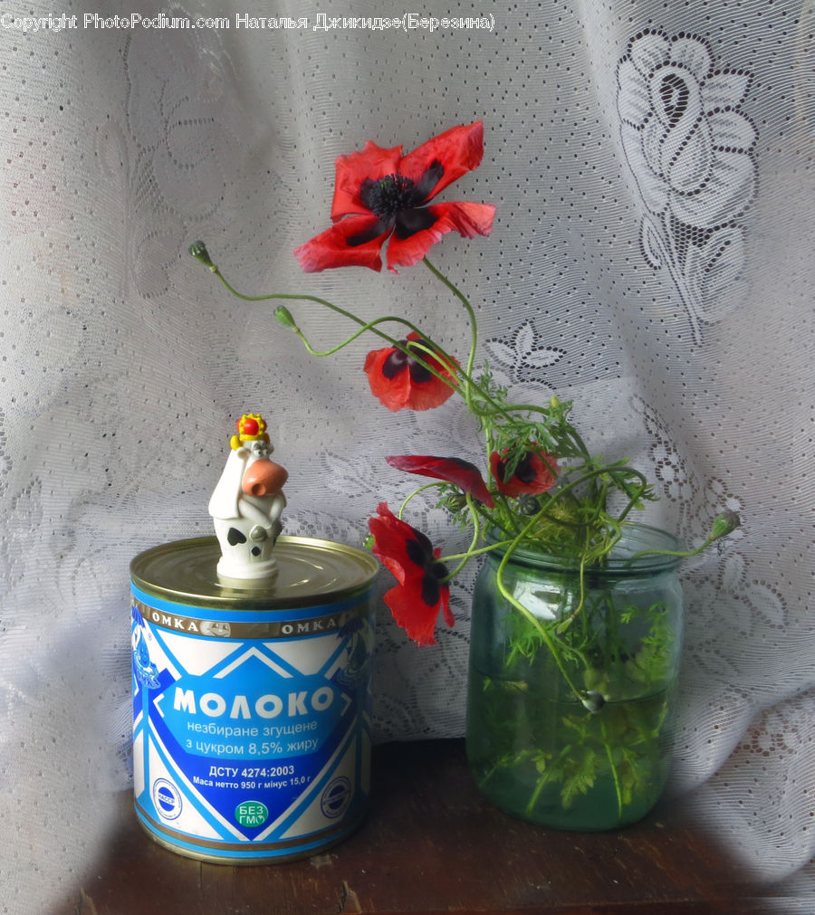 Blossom, Flora, Flower, Plant, Poppy, Amaryllis, Potted Plant