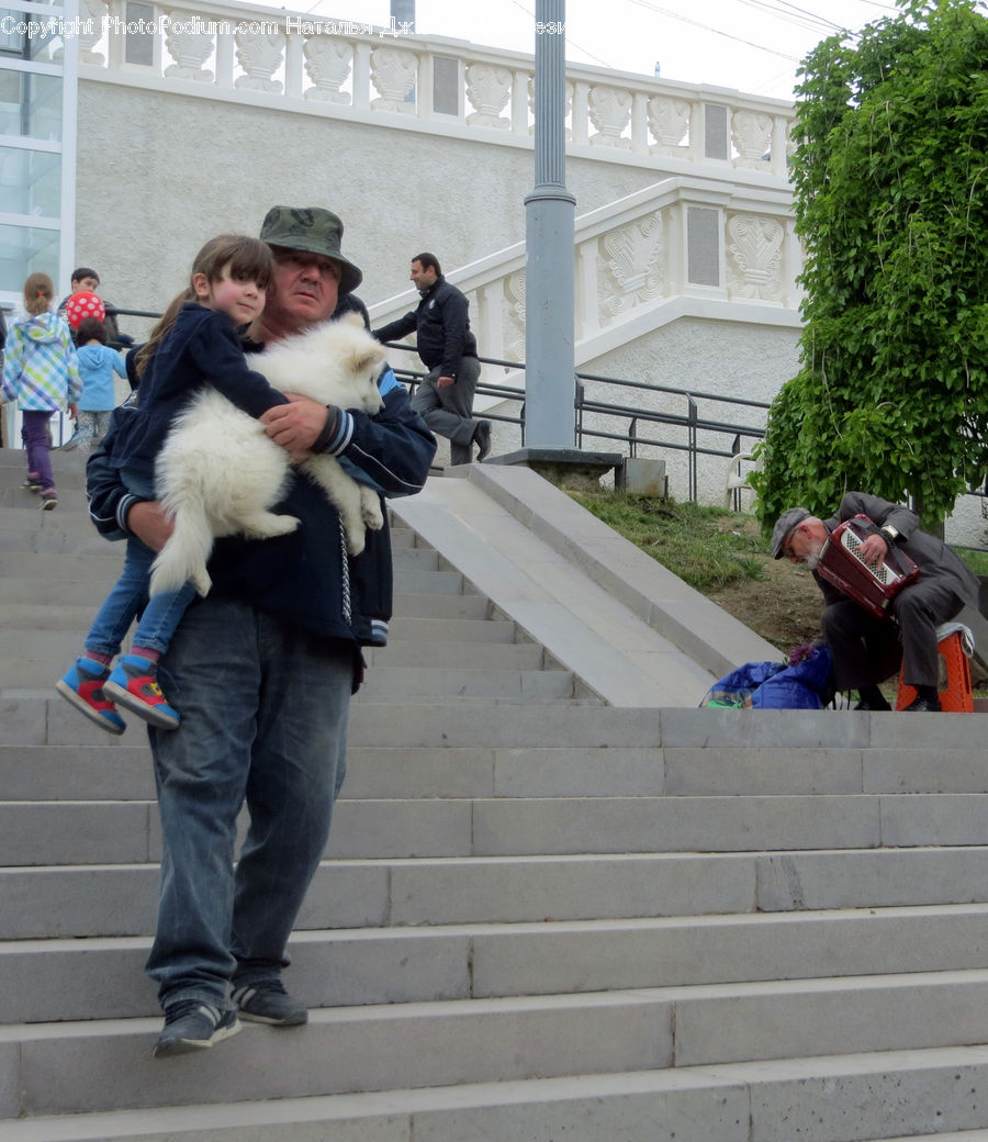 People, Person, Human, Reading, Make Out, Tourist