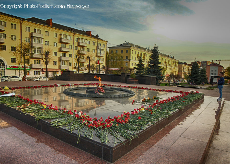 Plant, Potted Plant, Planter, Patio, Floral Design, Building, Housing