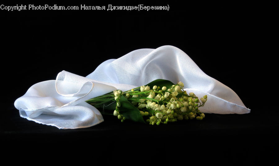 Produce, Vegetable, Pea, Flower, Flower Arrangement, Flower Bouquet, Plant