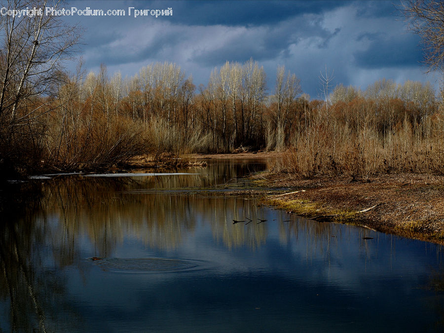 Land, Marsh, Outdoors, Swamp, Water, Field, Grass