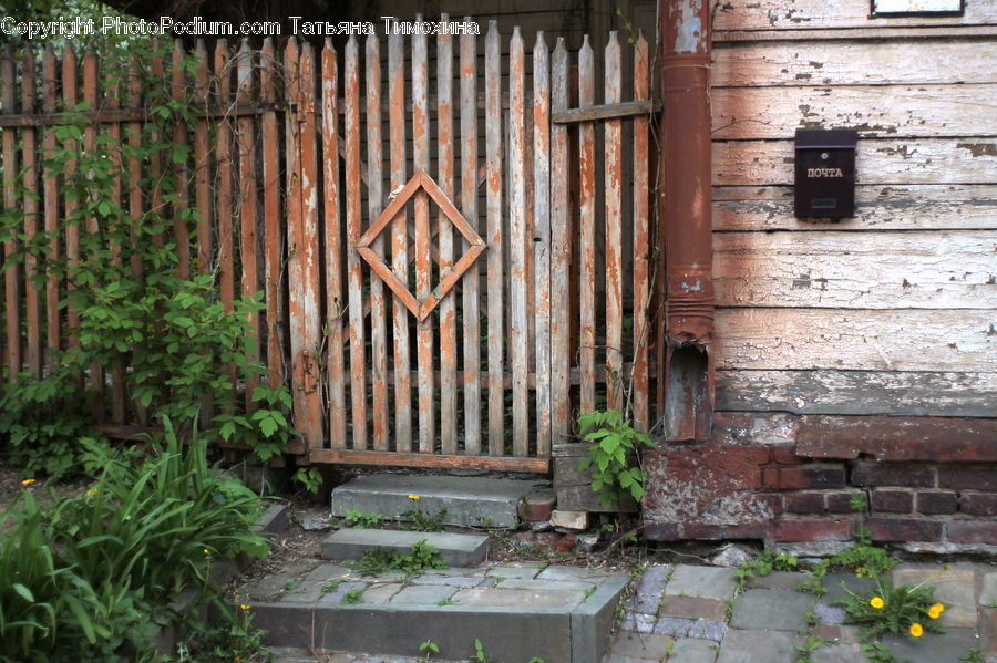 Brick, Backyard, Yard, Herbal, Herbs, Plant, Planter