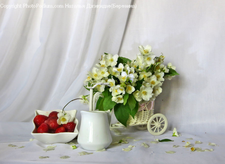 Fruit, Strawberry, Plant, Potted Plant, Cup, Dessert, Food