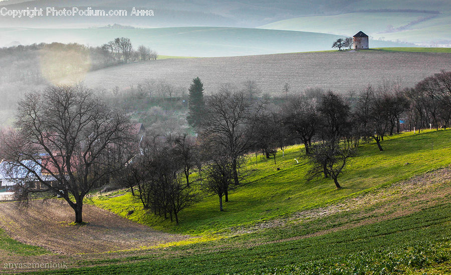 Field, Grass, Grassland, Land, Outdoors, Dirt Road, Gravel