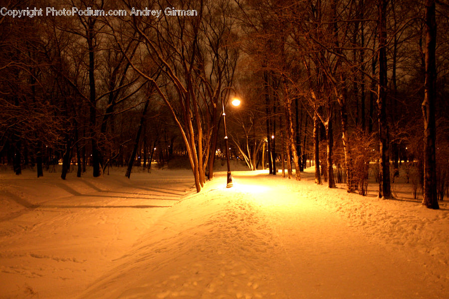 Blizzard, Outdoors, Snow, Weather, Winter, Dirt Road, Gravel