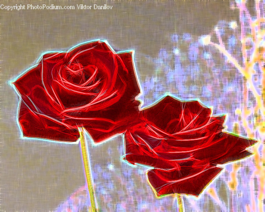 Applique, Sewing, Paper, Accessories, Blossom, Carnation, Flower