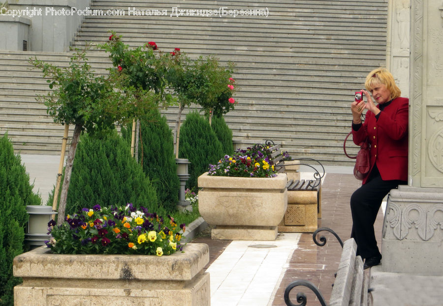 People, Person, Human, Planter, Potted Plant, Blonde, Female