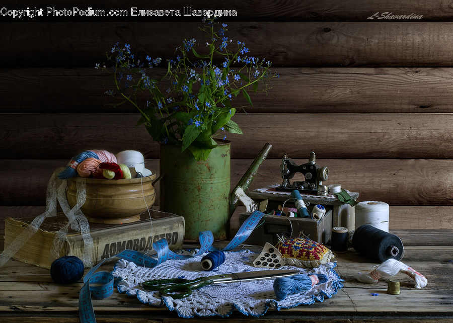 Plant, Potted Plant, Pot, Pottery, Wool, Yarn, Coffee Table