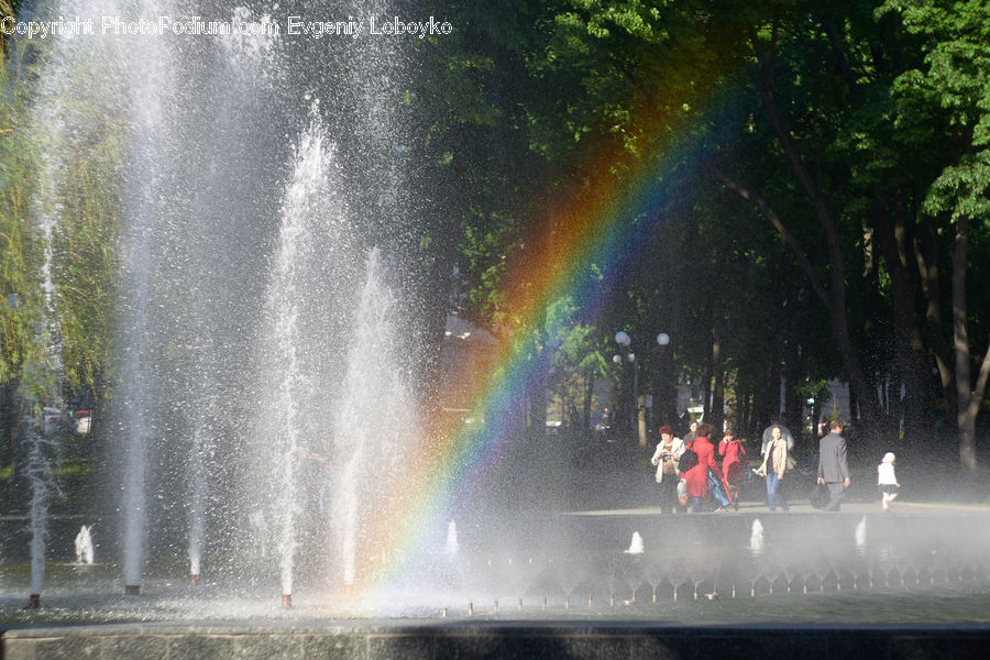 Fountain, Water, Outdoors, Rainbow, Sky, Fir, Forest