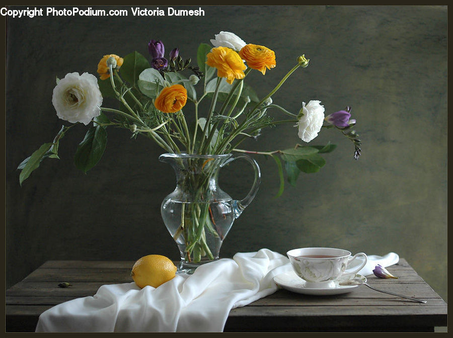 Glass, Goblet, Blossom, Daffodil, Flora, Flower, Plant